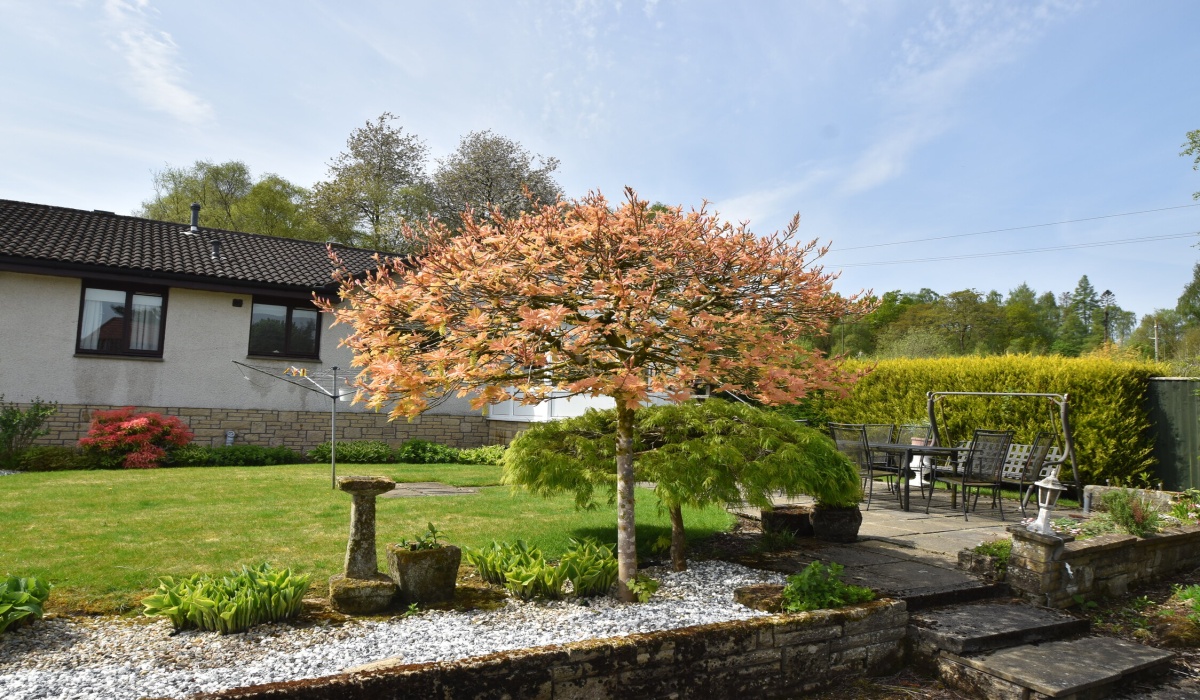 Glen Road, Torwood, Falkirk, 3 Bedrooms Bedrooms, ,4 BathroomsBathrooms,Detached Bungalow,Under offer,Kyalami,Glen Road,1433