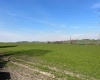 Woodend Cottage, Candie Road, Maddiston, FK2 0BU, 3 Bedrooms Bedrooms, ,1 BathroomBathrooms,Detached,For Sale,Woodend Cottage, Candie Road, Maddiston, FK2 0BU,1435