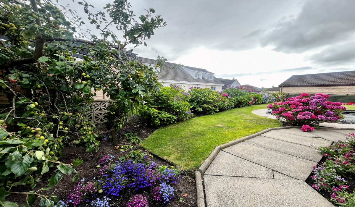 12 Coalpots Way, Alloa, Fishcross, 3 Bedrooms Bedrooms, ,2 BathroomsBathrooms,Detached Bungalow,For Sale,Coalpots Way,1465