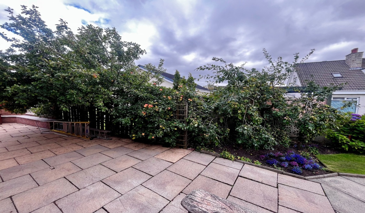 12 Coalpots Way, Alloa, Fishcross, 3 Bedrooms Bedrooms, ,2 BathroomsBathrooms,Detached Bungalow,For Sale,Coalpots Way,1465