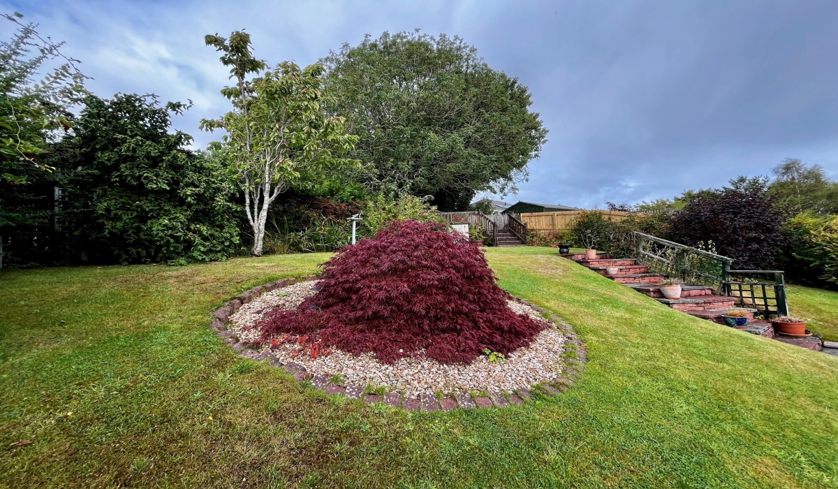 61 Burnbrae Park, Kincardine, 2 Bedrooms Bedrooms, ,2 BathroomsBathrooms,Detached Bungalow,Under offer,Burnbrae Park,1481