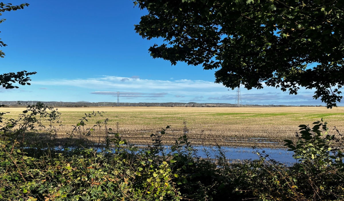 31 Carse View, Airth, 2 Bedrooms Bedrooms, ,1 BathroomBathrooms,Semi-Detached Bungalow,Under offer,Carse View,1493