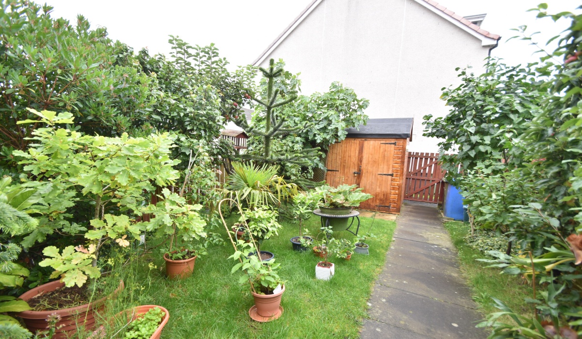 11 Fitzallan Place, Bathgate, Wester Inch Village, 4 Bedrooms Bedrooms, 0 ,2 BathroomsBathrooms,Terraced,Under offer,Fitzallan Place,0,1580